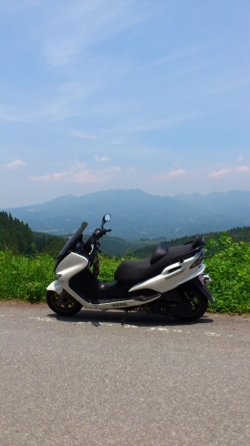 n 2011.6.4