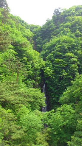 s̑ 2011.6.4