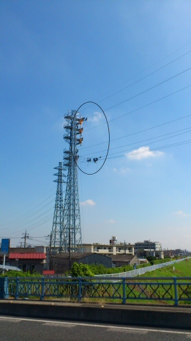 2011.7.16 Rt