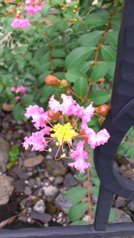 2011.7.30 Sg
