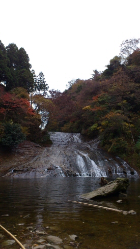 2011.12.2 ̑