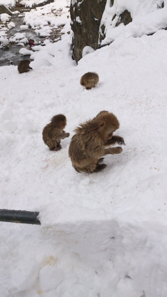 2013.1.20 