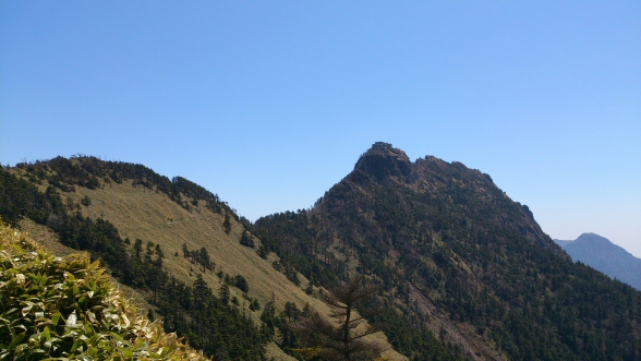 RAVxA